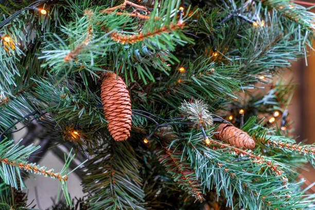 istock Two pine cones with pine branches and lights, used as Christmas decorations.