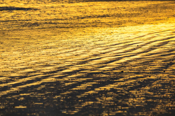 Abstract image of the sea shore