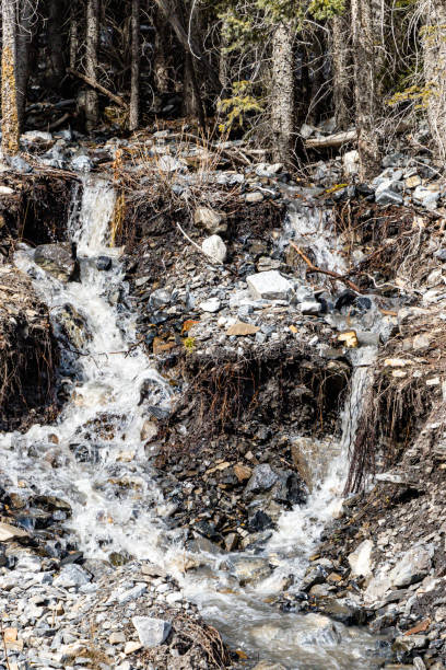 istock Roadside run off. Spray Valley Provincial Park. Alberta, Canada 1290722587