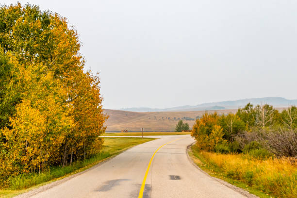 istock Fall colours start to settle into the bush. Chain Lakes Provincial Park, Alberta, Canada 1290722629