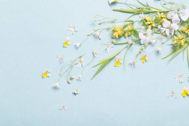 istock wild flowers on paper background 1290723307
