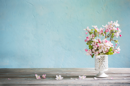 pink apple flowers in vase on background blue old wall