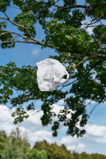 istock Save our planet. Vertical shot of a plastic bag hanging on a tree against blue sky 1290723428