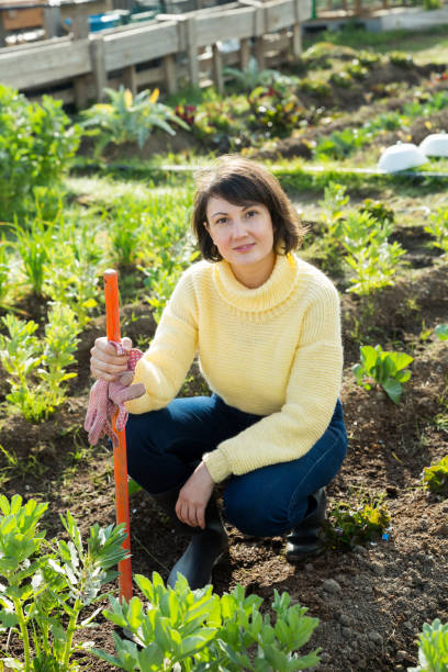 istock Woman working in garden 1290726864