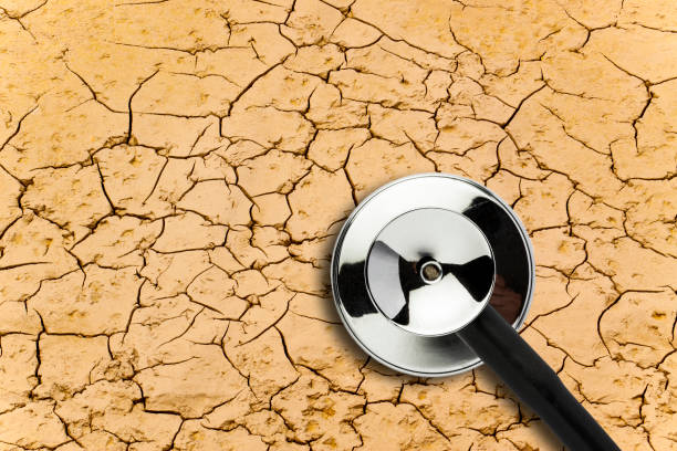 dry mud with a stethoscope - examining medicine healthcare and medicine beauty in nature imagens e fotografias de stock