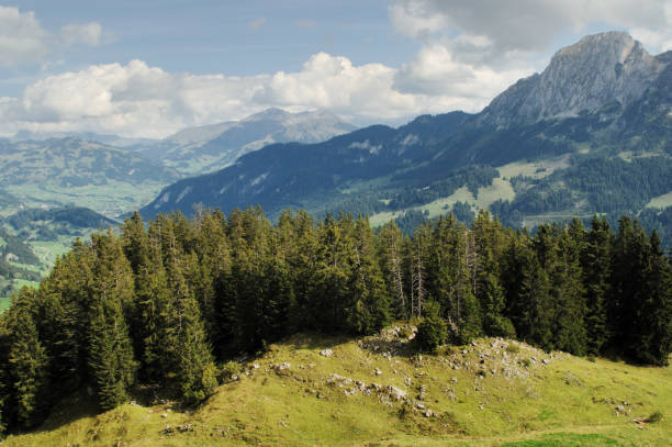 vue des alpes de la laitemaire, château d’oex, suisse - chateau doex photos et images de collection