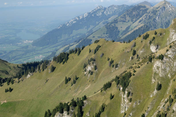 vue de pointe de cray, lex mévils, château d’oex, suisse - chateau doex photos et images de collection