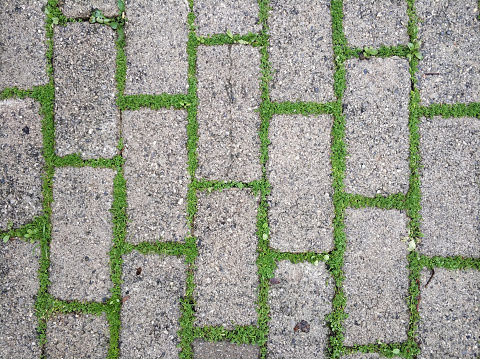 Walkway pavement brick with green grass