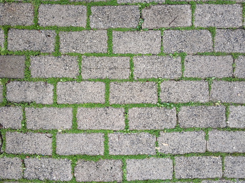 Walkway pavement brick with green grass