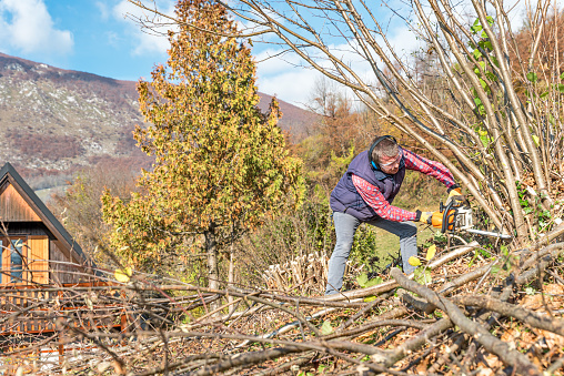 Man on Mountain Meadow Sawing Hazel Bush to Clean the Overgrown Fence