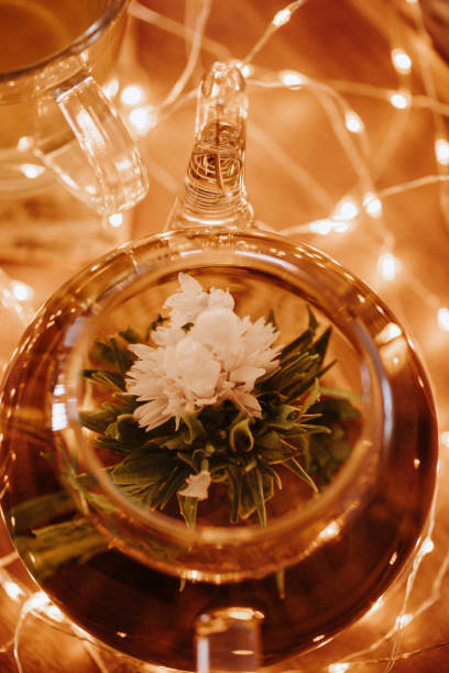 Low key photo of a teapot with blooming flower tea and christmas light chain around