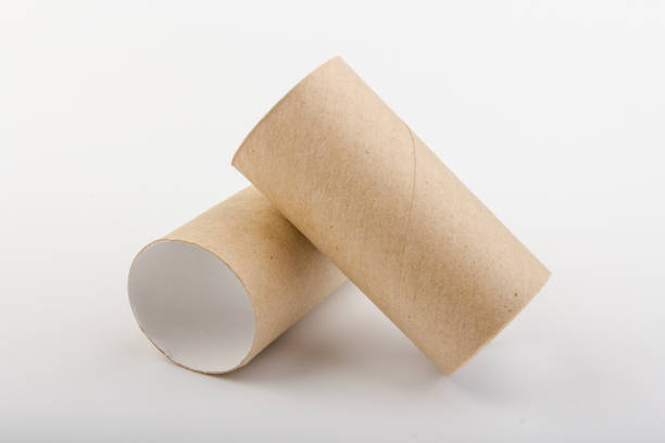 istock empty paper toilet rolls on white background 1290750418