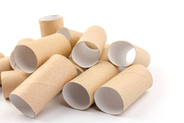 istock empty paper toilet rolls on white background 1290750448