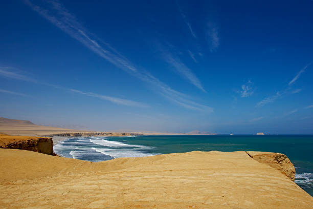 istock Paracas National Reserve Coast 1290750804