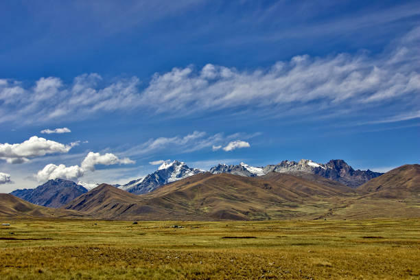 A landscape of a plain with large snow-capped mountains in the background and a blue sky with white clouds.