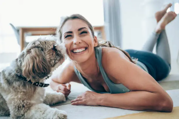 Beautiful young woman and her cute pet dog doing workout at home. Woman exercising with her dog in the living room.