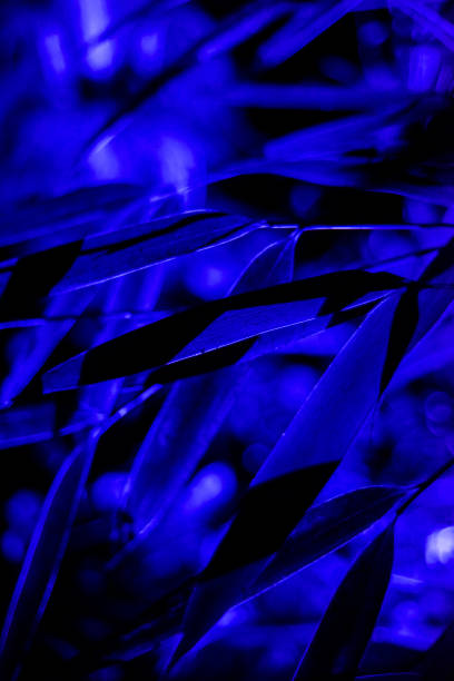 istock Blue leaf abstract art print or background texture from nature with blue lighting at night 1290752260