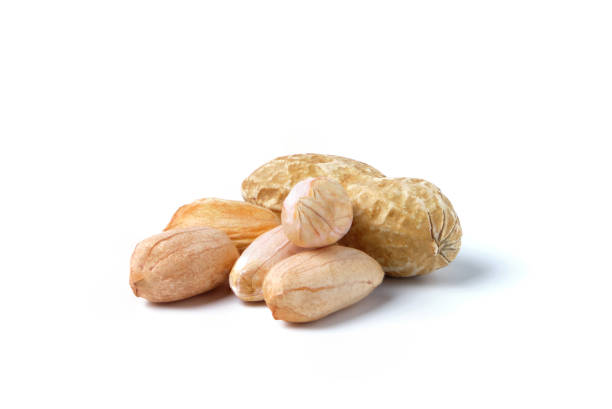 amendoins crus isolados em branco. monte de amendoins em poucas palavras - peanut nut snack isolated - fotografias e filmes do acervo