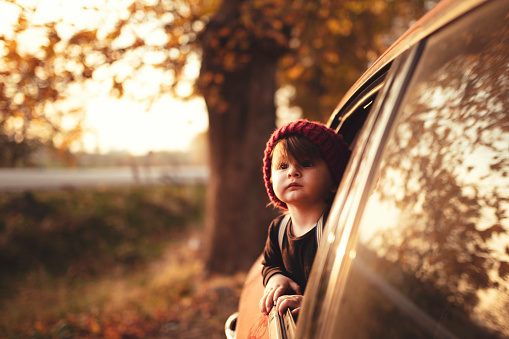 Cute little boy traveling by car in autumn season looking out the window