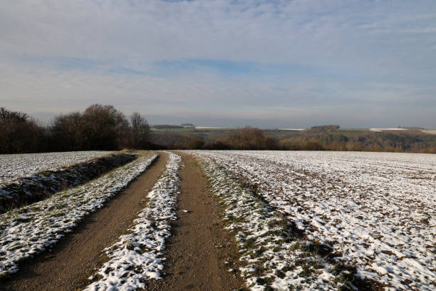istock Fields and meadows on a frosty winter morning. 1290756900