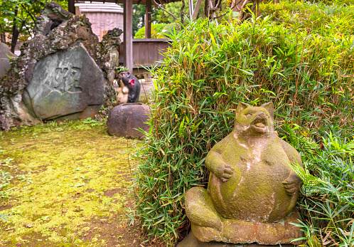 tokyo, japan - december 10 2020: Stone sculpture covered by moss depicting a Tanuki racoon-dog cute as a pokemon in front of bamboo leaves and Tanukizuka stone in the Tamonji Temple of  Sumida ward.