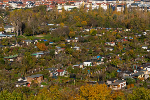 vista ad alto angolo su kleingarten, noto anche come schrebergarten germania - kleingarten foto e immagini stock