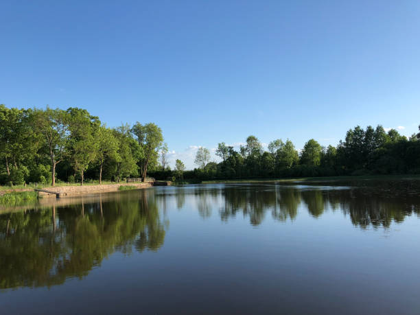 istock Lake In The Park 1290768011