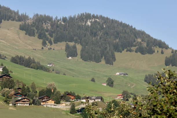 vue de montagne de la laitemaire du château d’oex, suisse - chateau doex photos et images de collection