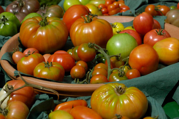 istock Variety of tomatoes in different shapes 1290768188