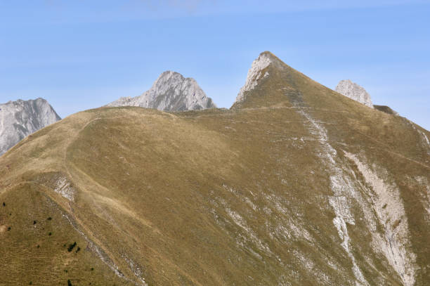 vue de pointe de cray, lex mévils, château d’oex, suisse - chateau doex photos et images de collection