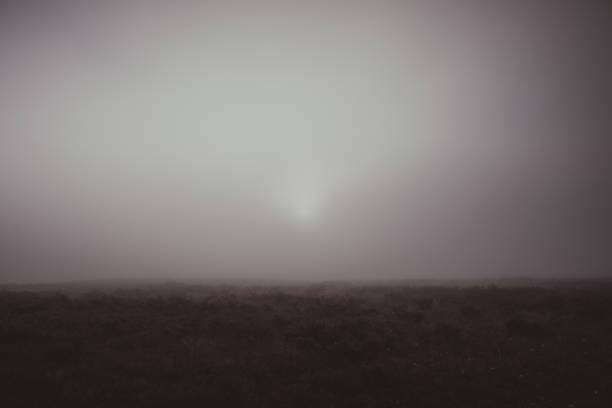 istock Mist rolls in over meadow at dawn 1290769294