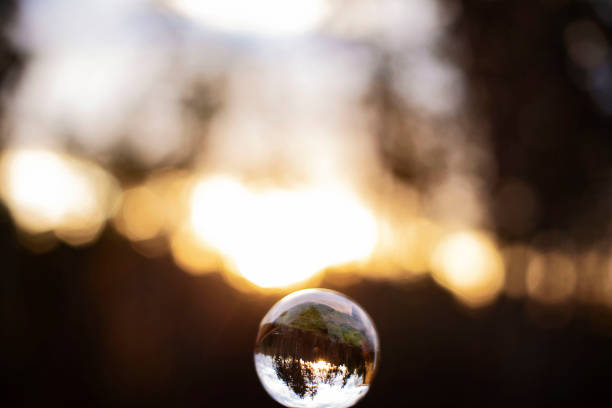 istock Glass ball reflecting a sunset behind trees 1290770036