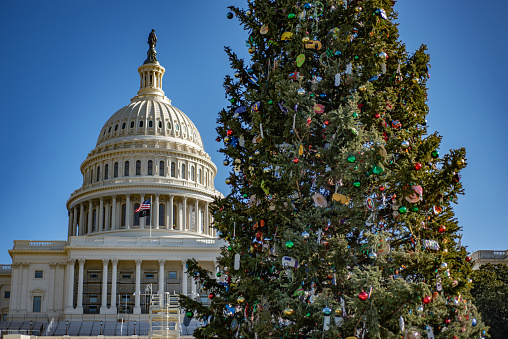 Christmas tree on Capitol building background.