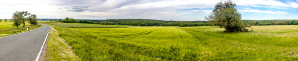 istock Green agricultural meadows 1290773710