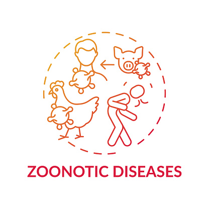 Zoonotic diseases red gradient concept icon. Bird, pig flu. Swine influenza. Infection from animal. Healthcare idea thin line illustration. Vector isolated outline RGB color drawing