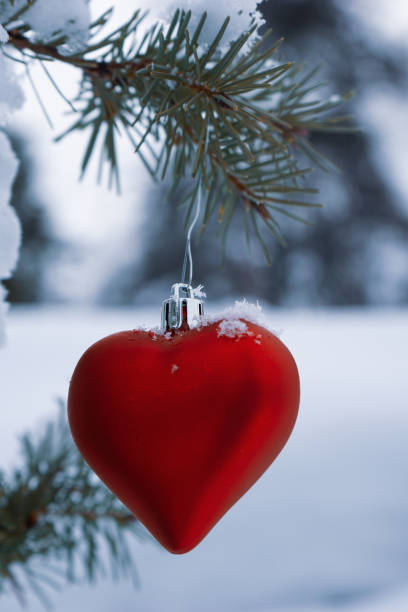 istock Red ornament on tree outdoors 1290781198