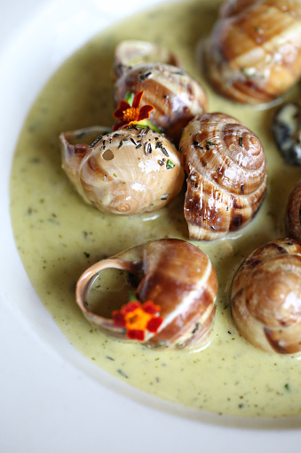 Escargot in a cream sauce