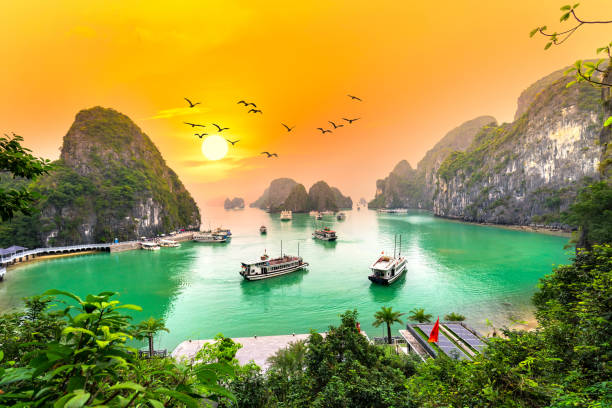istock Dreamy sunset landscape Halong Bay, Vietnam 1290787867