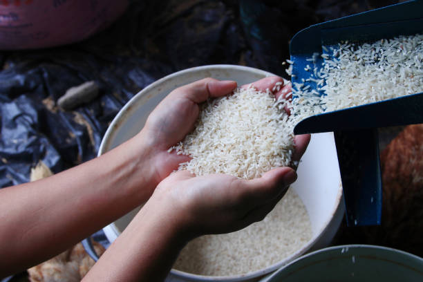 Hand holding rice from the rice mill Hand holding rice from the rice mill.Food concept. rice food staple stock pictures, royalty-free photos & images