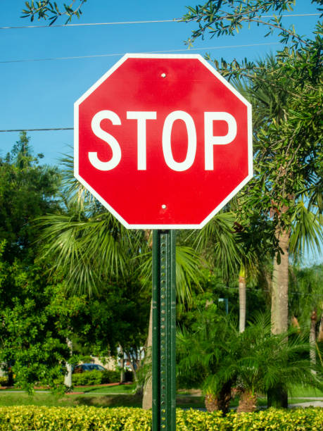 istock A View of a stop sign on summer with trees on background 1290795556