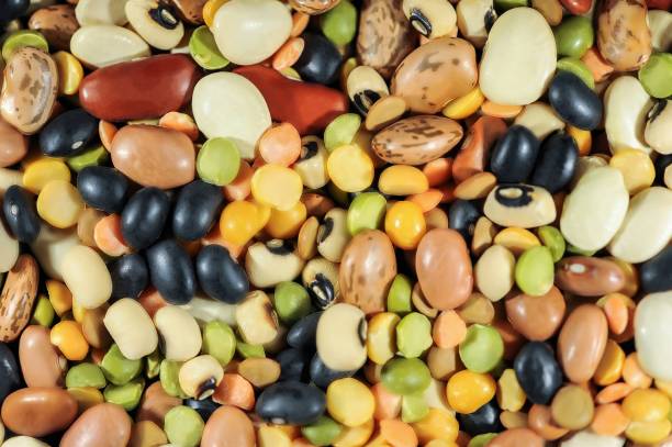 разнообразие бобов - lentil full frame macro close up стоковые фото и изображения