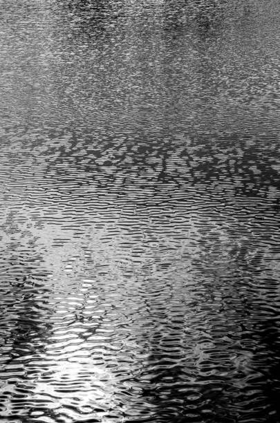 istock Sea water waves abstract black and white background 1290801826