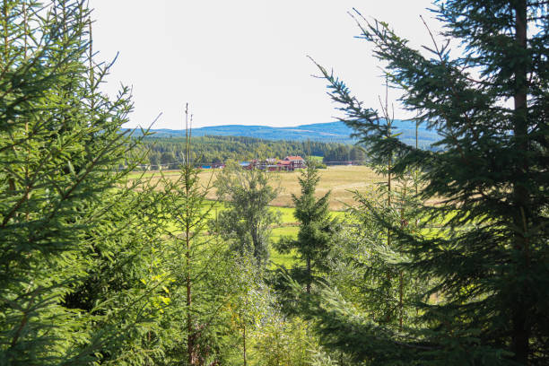 istock Landscape scenery in Jarvso, Ljusdal municipality 1290806391