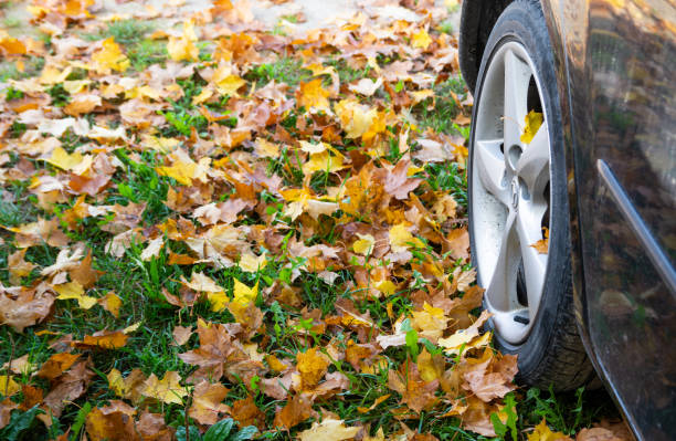 istock Car tire on autumn leaves 1290814039