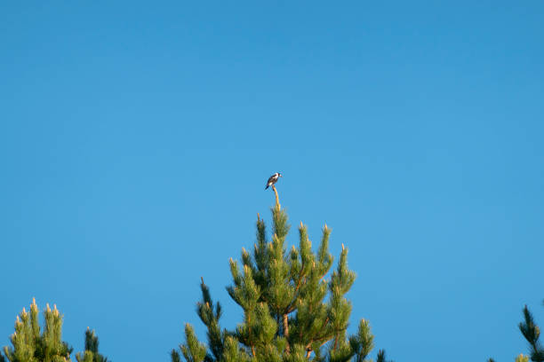 Taken in Cole Harbour, NS