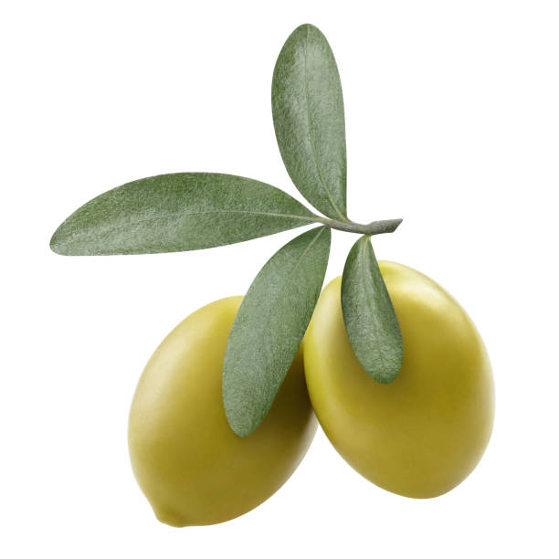 istock Two delicious green olives on white 1290815085