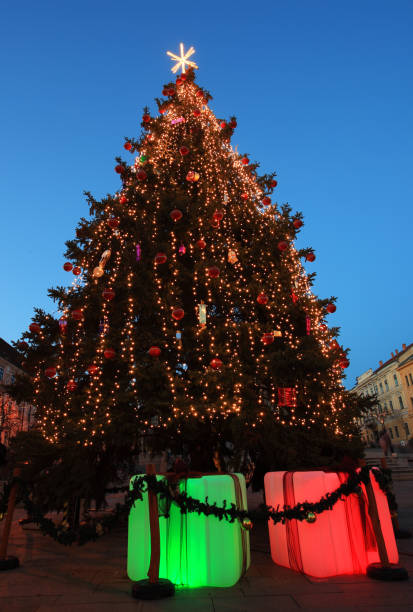 istock Christmas tree outdoor at blue sky 1290815150