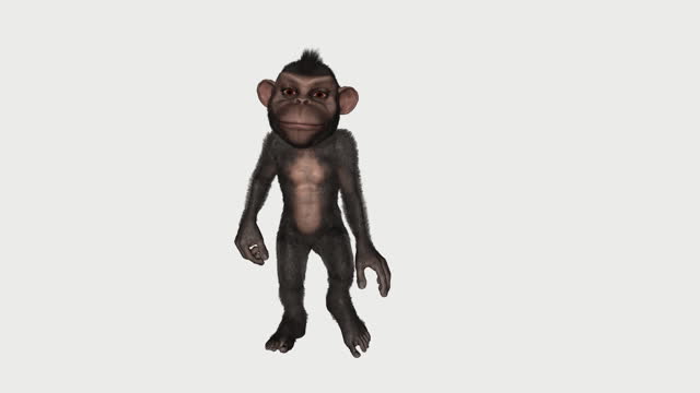 113 Dancing Monkey Stock Videos and Royalty-Free Footage - iStock | Monkey  dance, Lemur, Frog
