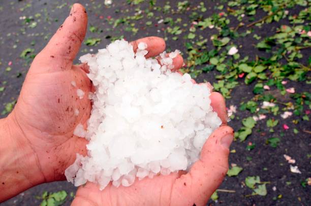 istock Holding hail stones in hand after hailstorm 1290818094