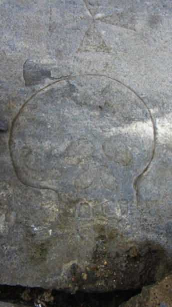 istock skull and crossbones, symbol of death 1290818104
